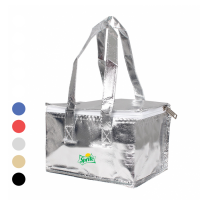 Cooler Bag