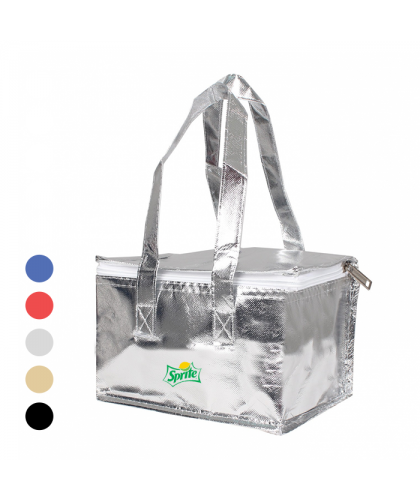 Cooler Bag