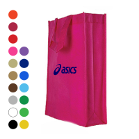 100g Non Woven Bag 