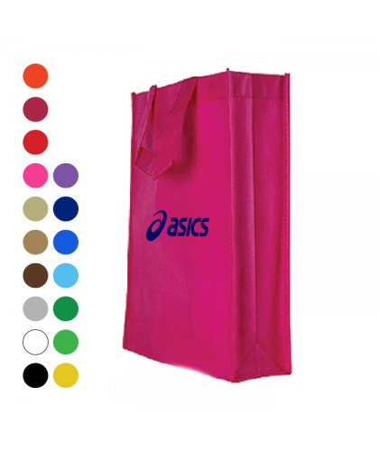 100g Non Woven Bag 