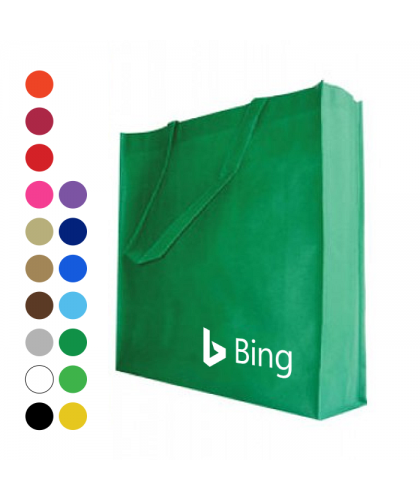 100g Non Woven Bag  