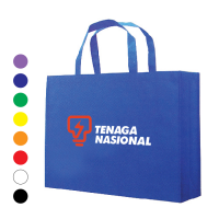 XL 100g Non Woven Bag