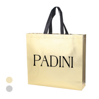 Laminated Non Woven Bag