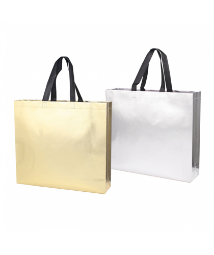 Laminated Non Woven Bag