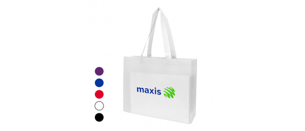 Non Woven Bag