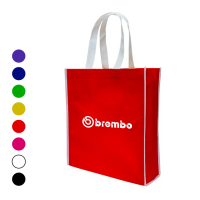 Non Woven Bag