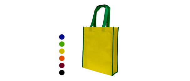 Non Woven Bag