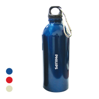 Stainless Steel Bottle (450ml)