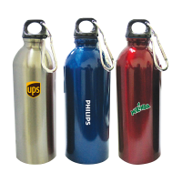 Stainless Steel Bottle (450ml)