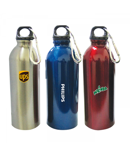 Stainless Steel Bottle (450ml)