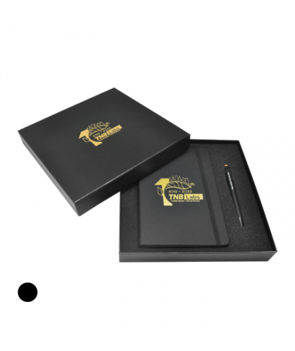 2 in 1 Gift Set (Diary + Metal Pen)