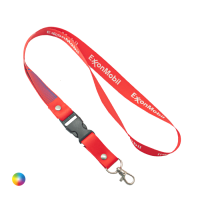 Lanyard + Snap hook + Buckle