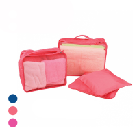 Travel Organizer (4 in 1)