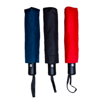 Foldable Umbrella with Pouch