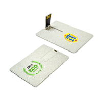 Eco Card USB Flash Drive