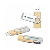 Wood USB Flash Drive  