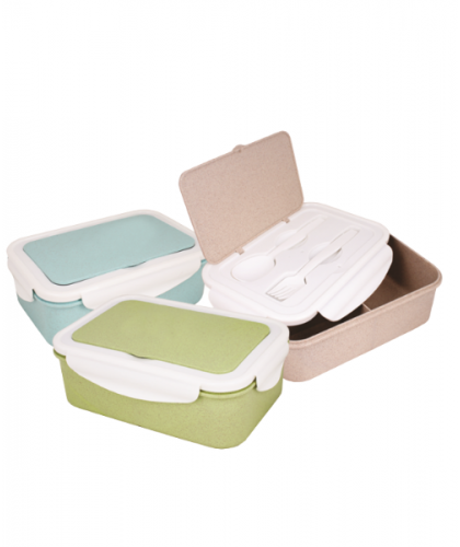 Lunch Box (1 Tier)
