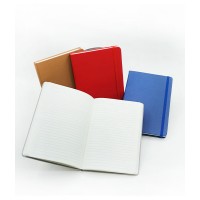 Lacostex Notebook