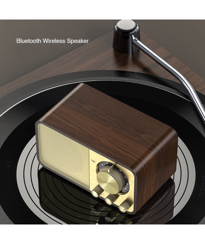 Wooden Speaker