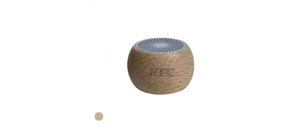 Mini Wooden Speaker