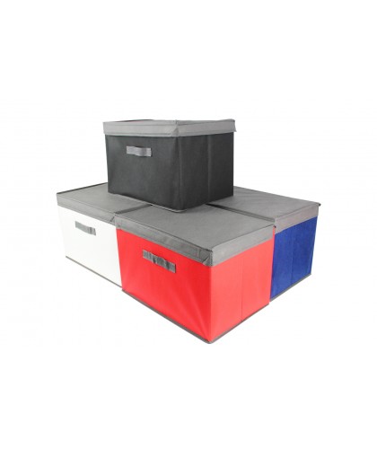 Foldable Storage Box (B)