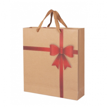 Recycle Paper Bag