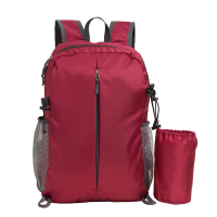 Foldable Daypack