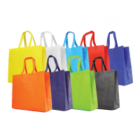 NON WOVEN BAG