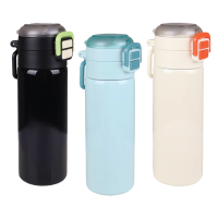 Thermo Flask - 520ml