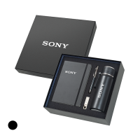 4 in 1 Gift Set (Vacuum Flask + Metal Pen + Notebook + USB)
