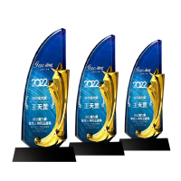 Exclusive Metal Crystal Award
