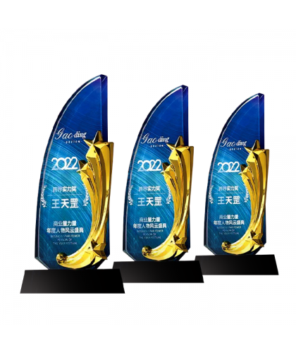 Exclusive Metal Crystal Award