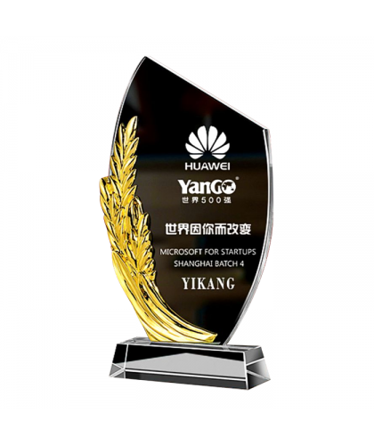 Exclusive Metal Crystal Award