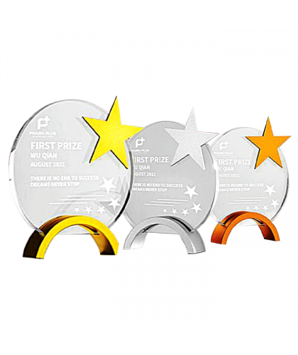Exclusive Metal Crystal Award
