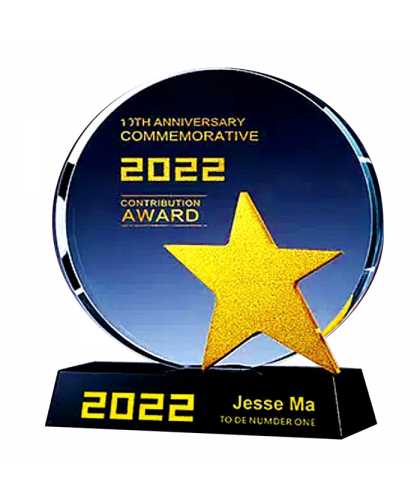 Exclusive Metal Crystal Award