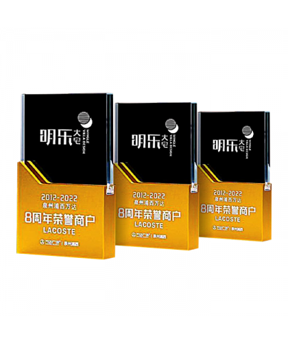 Exclusive Metal Crystal Award