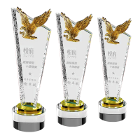 Exclusive Metal Crystal Award