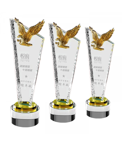Exclusive Metal Crystal Award