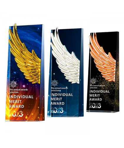 Exclusive Metal Crystal Award