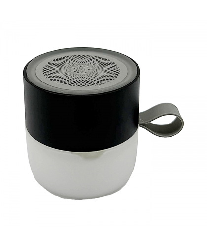 Wireless Speaker