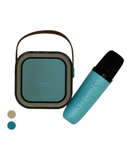 Mini USB Speaker and Wireless Microphone