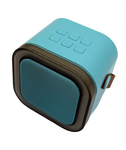 Mini USB Speaker and Wireless Microphone