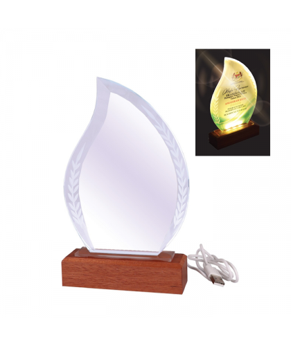 Crystal with LED Light