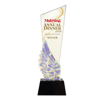 Crystal Plaque