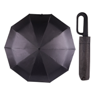 Foldable Auto Umbrella