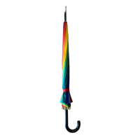 Rainbow Umbrella