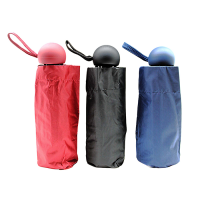 Foldable 6-panel Umbrella