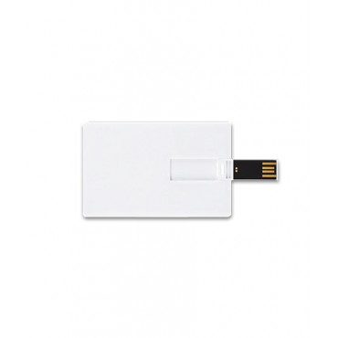 Card USB Flash Drive             